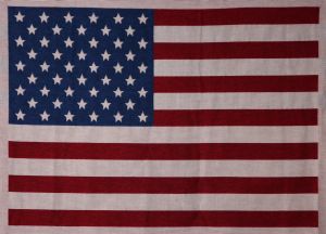 Мебельная ткань American Flag